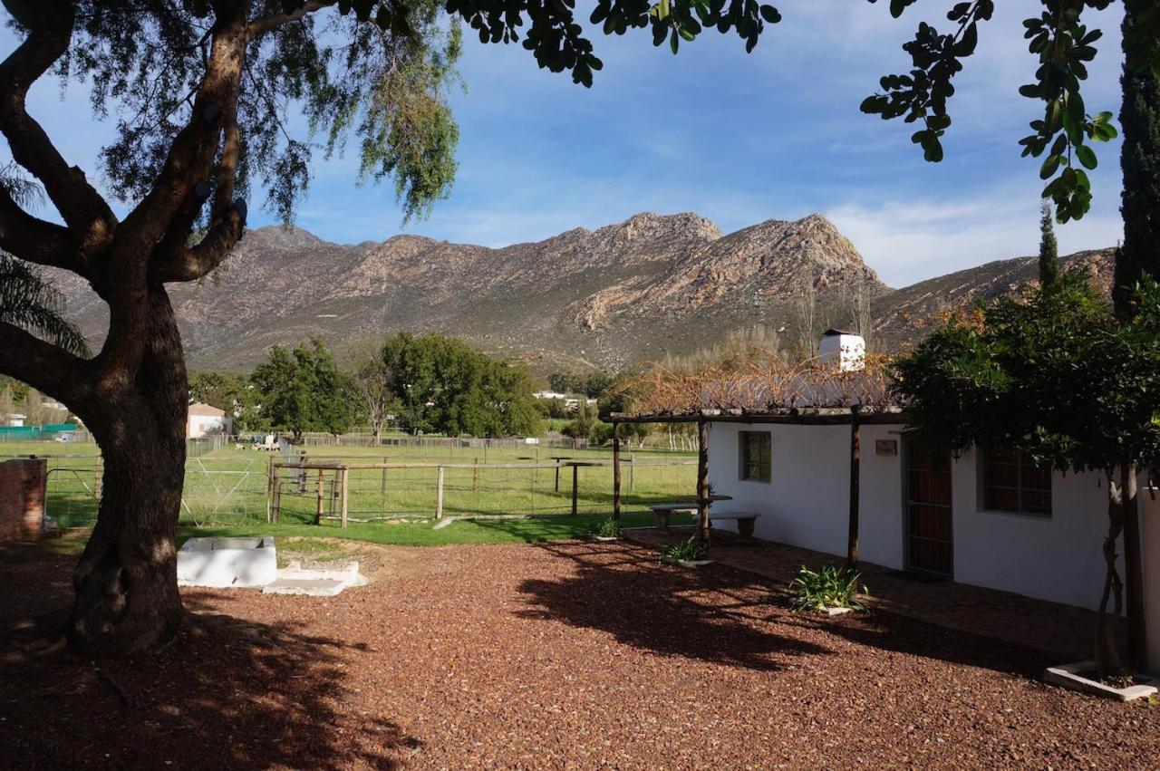Long Acres Cottages مونتاغو الغرفة الصورة